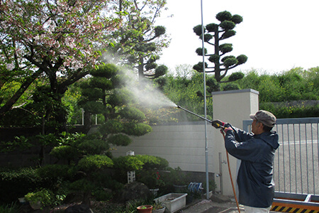 植栽管理